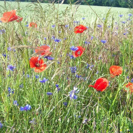 度假居 Naturcamp Am Steinhofel